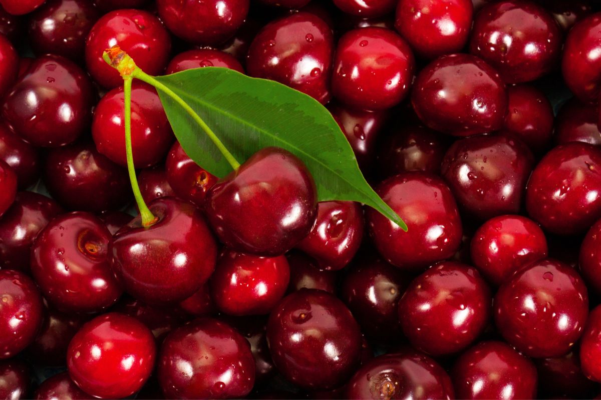 Giá trị dinh dưỡng vượt trội từ cherry nhập khẩu - Siêu trái cây cho sức khỏe