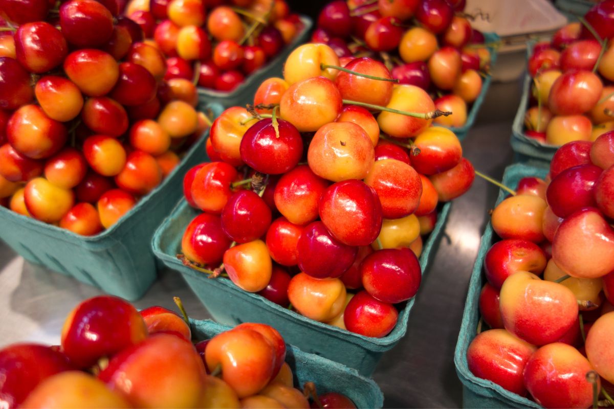 Mua Cherry Ở Đâu Ngon, Uy Tín hơn Hạnh Fruit